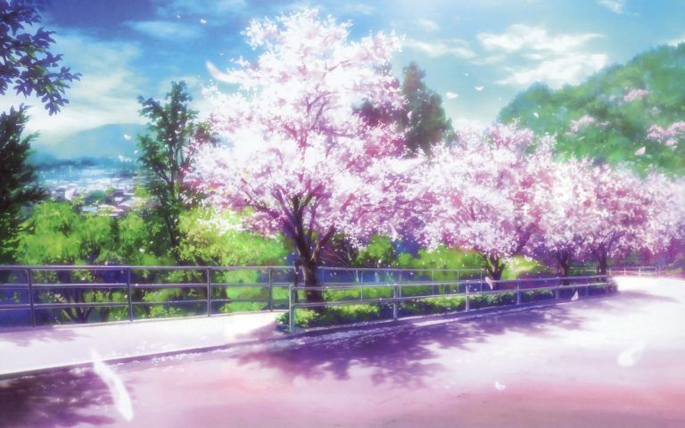 _27_cherry-blossom-anime-wallpaper-hd_1932530865.jpg